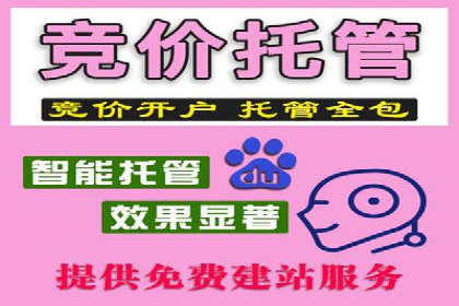 百度SEM代运营案例解析：揭秘高转化率策略
